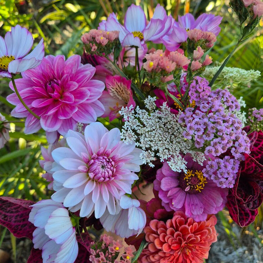 Valencia Lane Flowers