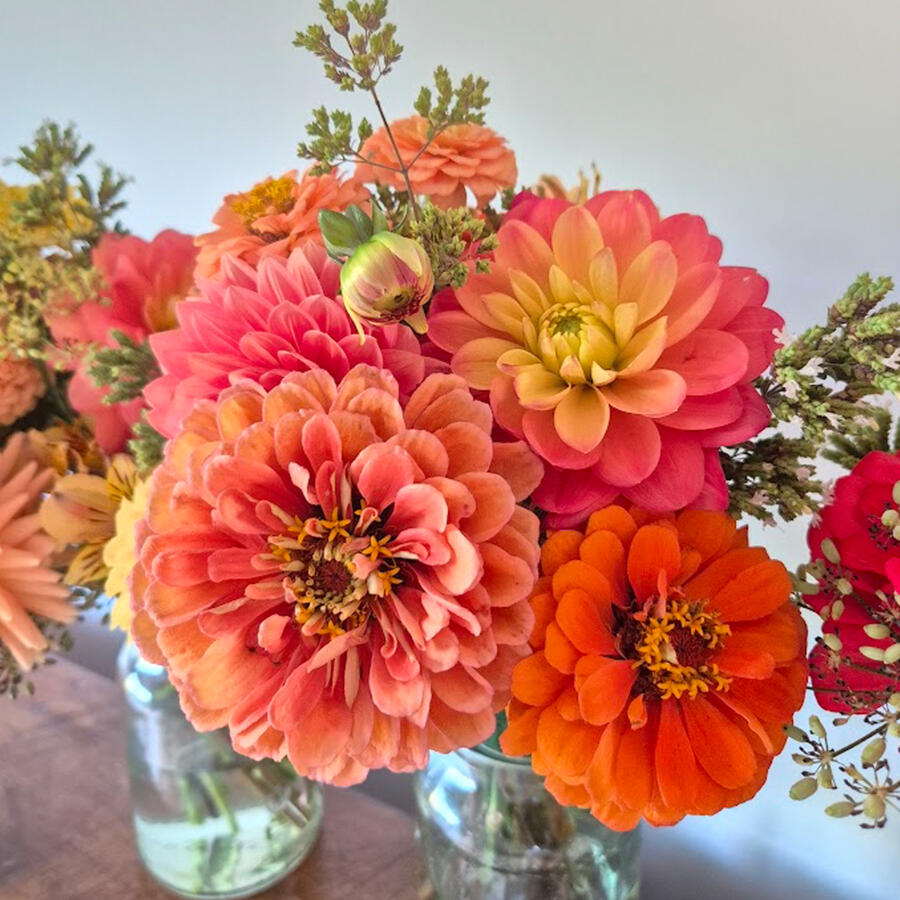 Valencia Lane Flowers